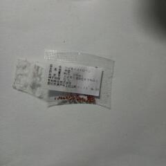 種　ワイルドストロベリー(イースター)玉子型容器の画像