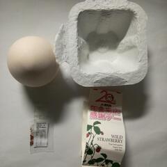 種　ワイルドストロベリー(イースター)玉子型容器