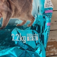 ピュリナワン　腎臓サポート　お問い合わせ中でコメント返せませんの画像