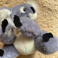 コアラ　オーストラリア土産　ぬいぐるみ　くっつくの画像