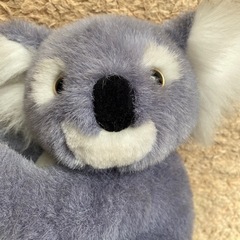 コアラ　オーストラリア土産　ぬいぐるみ　くっつくの画像