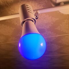 未使用  16色電球 　リモコン付の画像