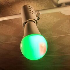 未使用  16色電球 　リモコン付の画像