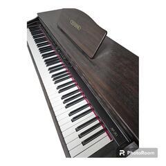 【本日限定価格】CACIO CELVIANO AP-20 