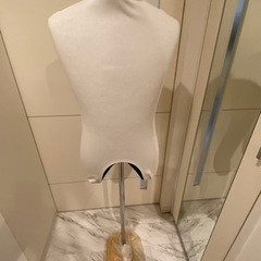 トルソー男性