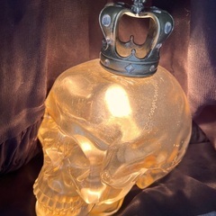 スカルランプ (インテリア照明器具)※現在お問い合わせ中