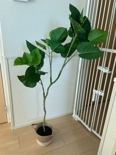 フェイクグリーン　観葉植物