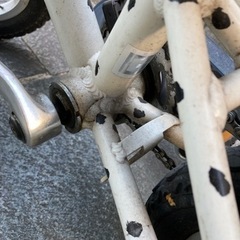 ルイガノ　幼児用　12インチ　ダルメシアン柄の画像