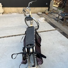 Xtracycle エクストラサイクルロングテールバイク ラディッシュの画像