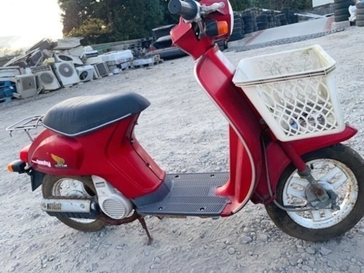 値下ホンダ　タクティホンダ | HONDA タクティ | TACTY 昭和スクーター