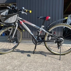子供　自転車　ブリヂストン