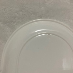 カンガルーパーク クーラーボックスの画像