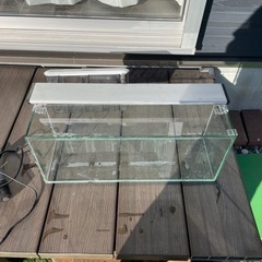 水槽セット欲しい方の画像