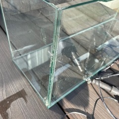 水槽セット欲しい方の画像