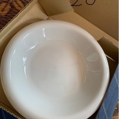 生活雑貨 食器 プレート6枚セット