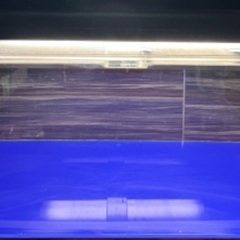 1200アクリル水槽の画像