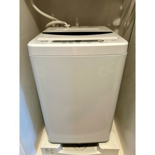 ヤマダ電機 洗濯機 6.0kg HerbRelax YWM-T60A1