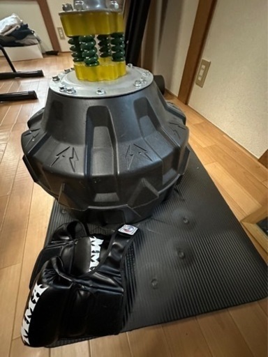 サンドバッグ ( 値下げ中 )