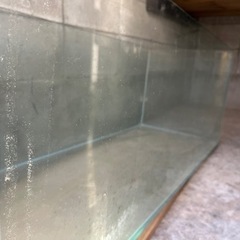 ガラス水槽120×45の画像