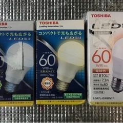 電球　1個500円
