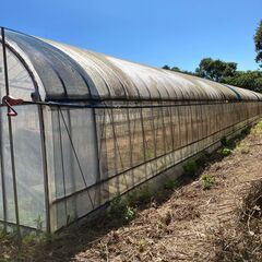 農業用 ビニールハウス 2連棟【要解体】