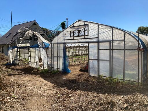 【受付終了】農業用　ビニールハウス　2連棟【要解体】