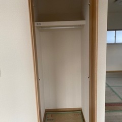 クローゼット 開き戸 枠扉セット ネイキッドライト柄 2028×735 三方枠