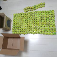 【中古】硬式テニボール１８０球 の画像