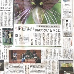 NPO法人かすが文化會、催しの御礼の画像