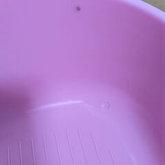 新品✭未使用　小動物用キャリーケース　ハムスター　モルモット　デグー　モモンガ　リス　小鳥　の画像