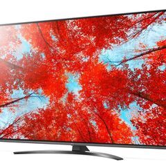 【店頭引き取り限定】LG 55型 4Kチューナー内蔵 液晶 テレ...