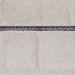 ペット用トイレシート100枚の画像