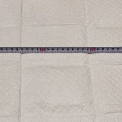 ペット用トイレシート100枚の画像