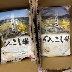 【1名様限定】らんこし米ゆめぴりか　新米　10kg