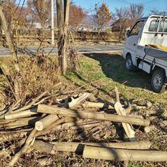 決まりました　薪　トゲがありますの画像