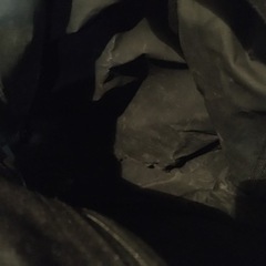 captain stag リュックサックの画像