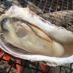 出張カキ小屋「牡蠣奉行」小山出井店