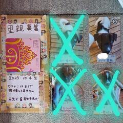 一旦募集停止します。里親を募集します