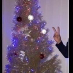 クリスマスツリーの画像