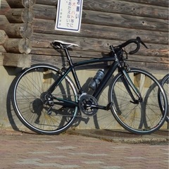 Bianchi ベルガモ