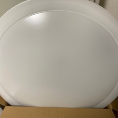 照明ですの画像