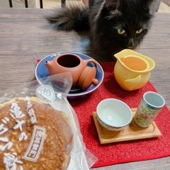 二俣川らへんで会えるお友達