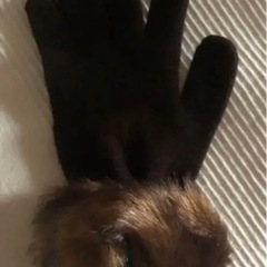 ファー付き手袋の画像