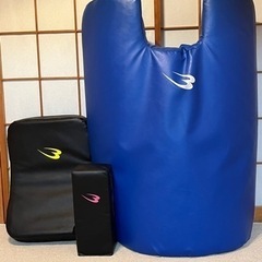 ボディーメーカー（BODYMAKER）のミット 3点セット