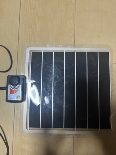 パンテオン9045訳あり