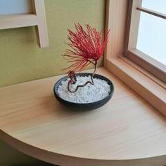 アート盆栽の作り方教えます。将来はインストラクターを目指して！ - 地元のお店