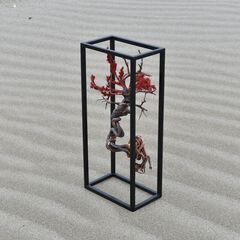アート盆栽の作り方教えます。将来はインストラクターを目指して！の画像