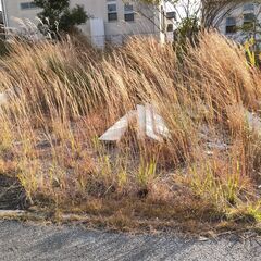 ※値下げします　　土地を売ります　150万円⇒120万円　豊田市白山町