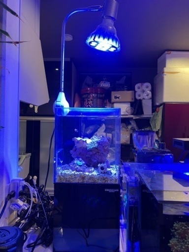 小型　オーバーフロー　アクリル水槽　ニッソー　クロスミニ　黒