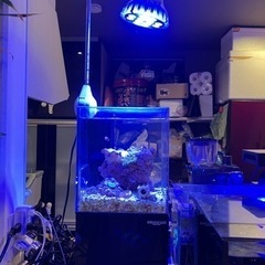 小型　オーバーフロー　アクリル水槽　ニッソー　クロスミニ　黒